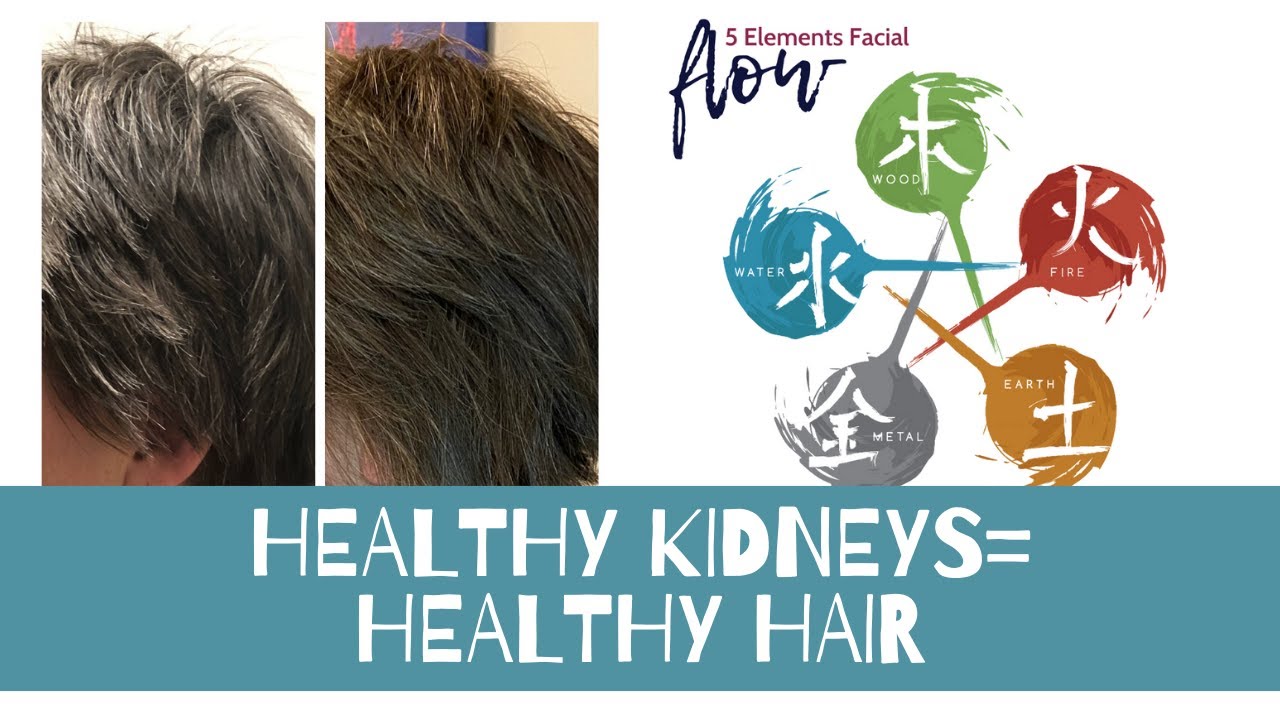 Healthy Kidneys = Healthy Hair YouTube