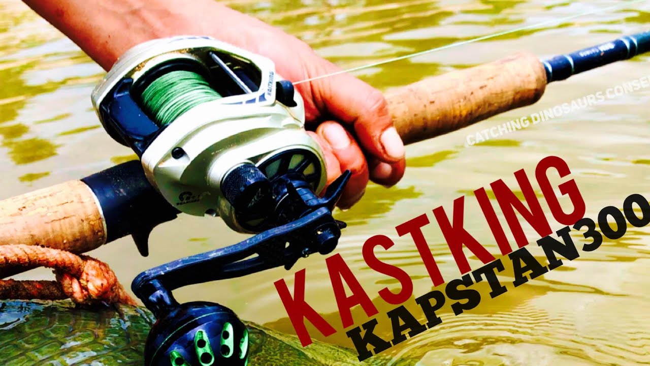 KastKing Kapstan Elite 300 Baitcasting Fishing Reel, Low Profile, Large  Capacity Casting Reel, Graphite Frame, 35 lbs. Drag 5.4:1 Ratio, 8+1/6+1  Double Shielded…