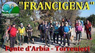 "VIA FRANCIGENA": Ponte d'Arbia - Torrenieri (video n. 3°)