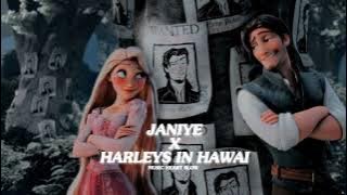 Janiye x Harleys in Hawai (Slowed Reverb) (Music heart Slow)