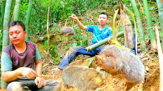 Đào dúi nhanh như chớp - sinh tồn cùng AE Vùng Cao - Người Vùng Cao