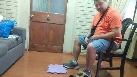 Target with second species