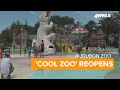 Cool zoo returns to audubon zoo