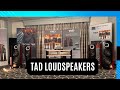 Tad reference loudspeaker impressive