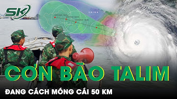 Bão Số 1 Cách Móng Cái 60km, Khẩn Cấp Đóng Cửa 3 Sân Bay Do Ảnh Hưởng Của Bão | SKĐS
