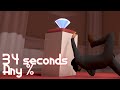 The worst best speedrun youll ever see  the professional any 34sec
