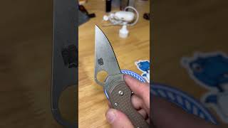 Spyderco Para3 CPM 15V new edge 🐻 #pm3 #Spyderco knives  #sharpening