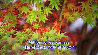 Holiday  Bee Gees With S 