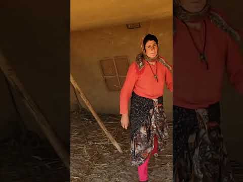 How Does The Iranian Nomad S Tent Withstand The Test Of Time