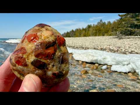 First Spring Rock Hunt! Snow, Pudding & Petoskey Stones