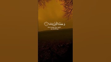 #قران_كريم  #عبدالرحمن_مسعد   #قران #تلاوة_خاشعة #اكسبلور