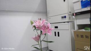 Pollinator drone takes flight | Science News