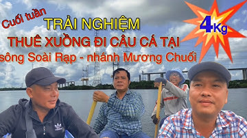 Cuối tuần | Trải nghiệm thuê xuồng đi câu cá tại sông Soài Rạp - nhánh Mương Chuối