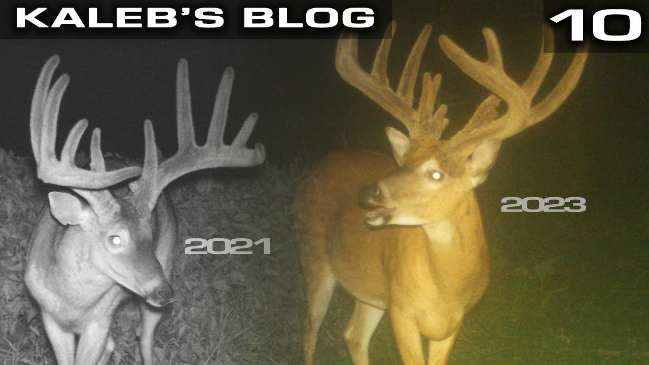 MY DREAM DEER, Trail Camera Strategy For Lucky Kaleb's Blog YouTube