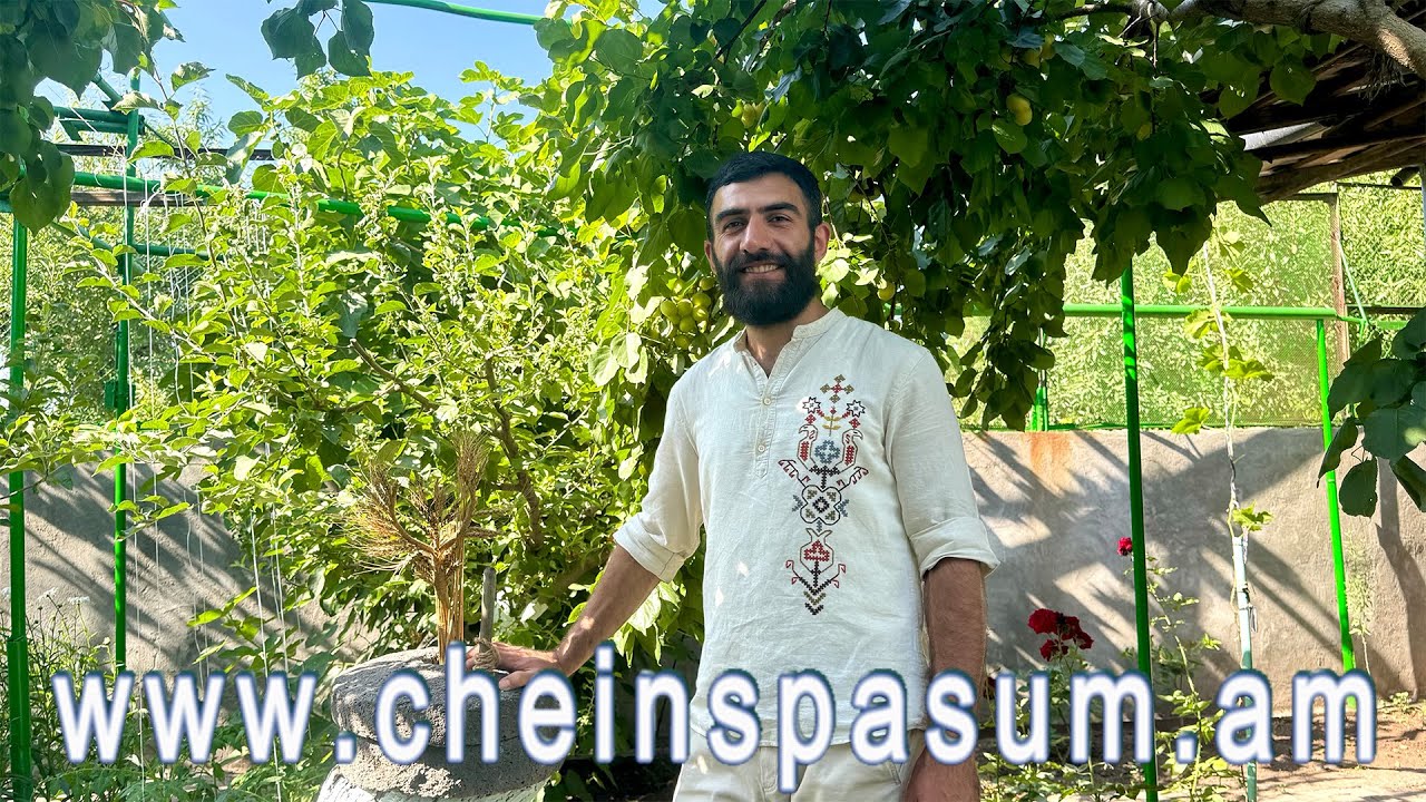 Hamazasp Aslanyan, “Ari pari”, Համազասպ Ասլանյան, «Արի պարի», Амазасп Асланян, «Ари пари»
