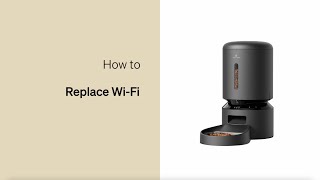 How to Replace Your WiFi | Petlibro Granary Camera Feeder