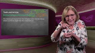 7.8 HUMAN REPRODUCTION - ZYGOTE TO IMPLANTATION