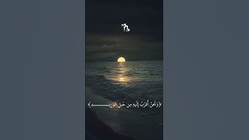 اسلام صبحي تلاوة هادءَ 😴 #اسلام_صبحي #قرآن #قرآن_تلاوت #تلاوة_خاشعة