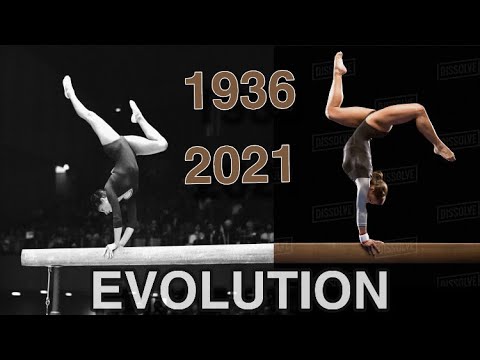 Evolution | Women's