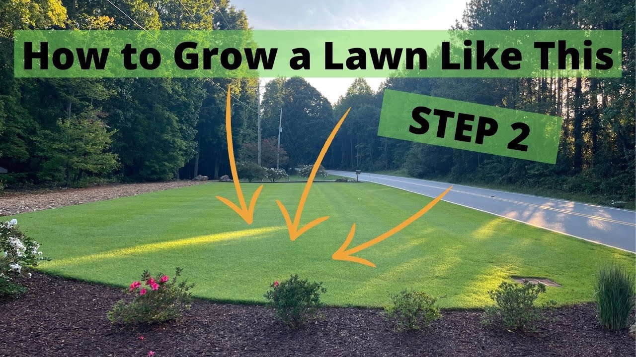 Step 2 Complete Lawn Renovation // Eradicate Bermuda // Complete Lawn