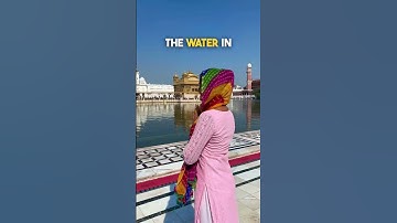 I visited the Golden temple in Amritsar | #temple #india #shorts #travel