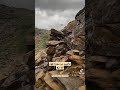 يابني اركب معنا تلاوة بصوت شجي للأخ القارئ صلاح الوصابي وفقه الله يابني اركب معنا تلاوة بصوت شجي للأخ القارئ صلاح الوصابي وفقه الله