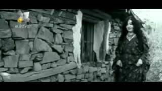 Tara Jaff / Aro cejnene