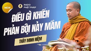 Sư Minh Niệm - Điều Gì Khiến SỰ PHẢN BỘI Có Cơ Hội NẢY MẦM? | Radio Phật Pháp
