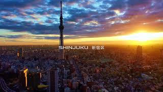 BADVEE DJ - SHINJUKU