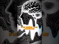 Esto pasa en tu cerebro cuando escuchas un audio subliminal