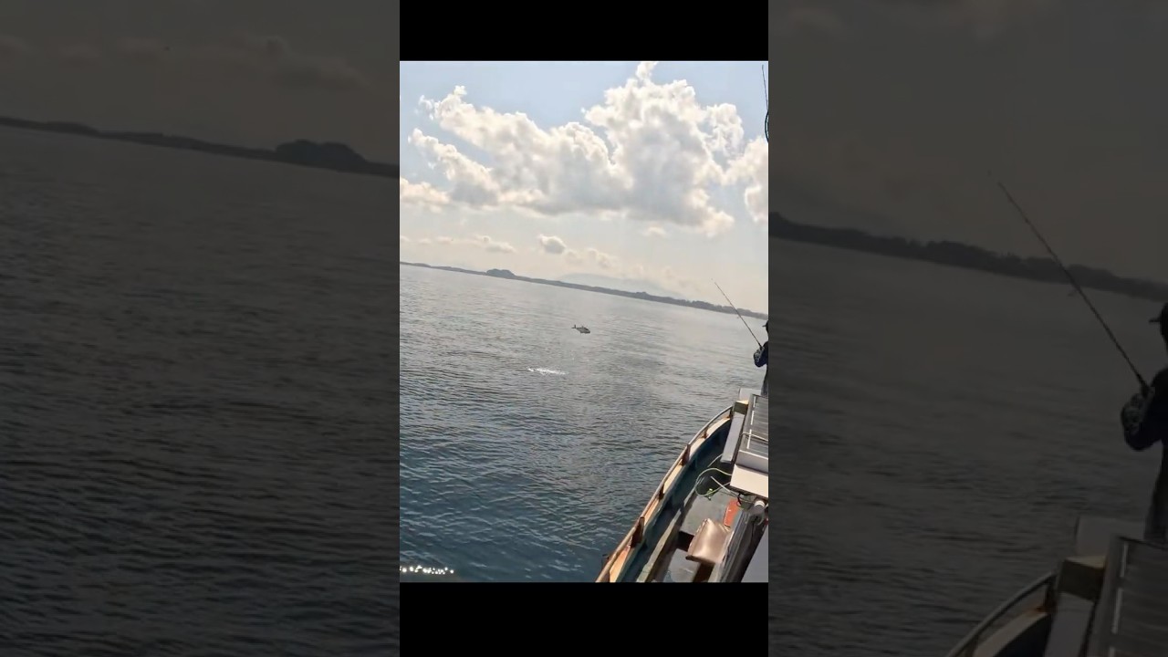 Double Queenfish Hookup! Both Jumping Beside the Boat