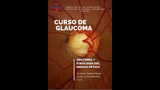 Anatomía y Fisiología del Nervio Óptico