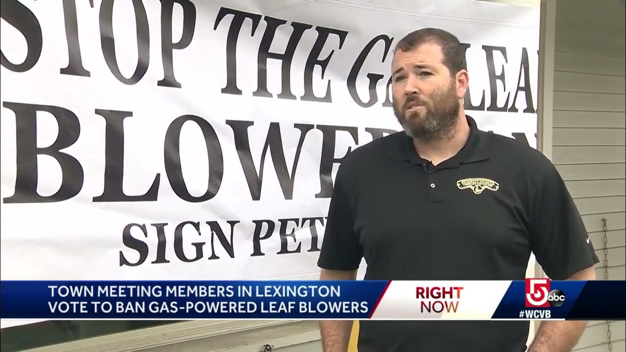 Gaspowered leaf blower ban being challenged by landscapers YouTube