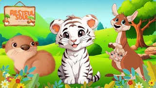 A Relaxing Compilation of Cute Little Farm Animal Sounds - Otter, Tiger, Kangaroo