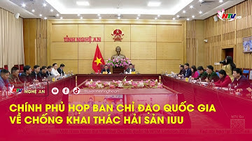 Chính phủ họp Ban chỉ đạo Quốc gia về chống khai thác hải sản IUU