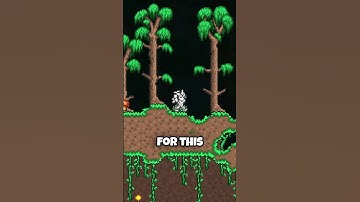 What Your Favorite Terraria MOD Says About You! Part 3