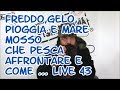 FREDDO GELO PIOGGIA E MARE MOSSO CHE PESCA AFFRONTARE E COME   - LIVE  43 BY FISHERLANDIA