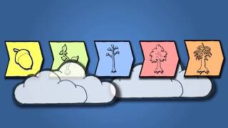 FREE PMP Project Management Training! PROCESS GROUPS