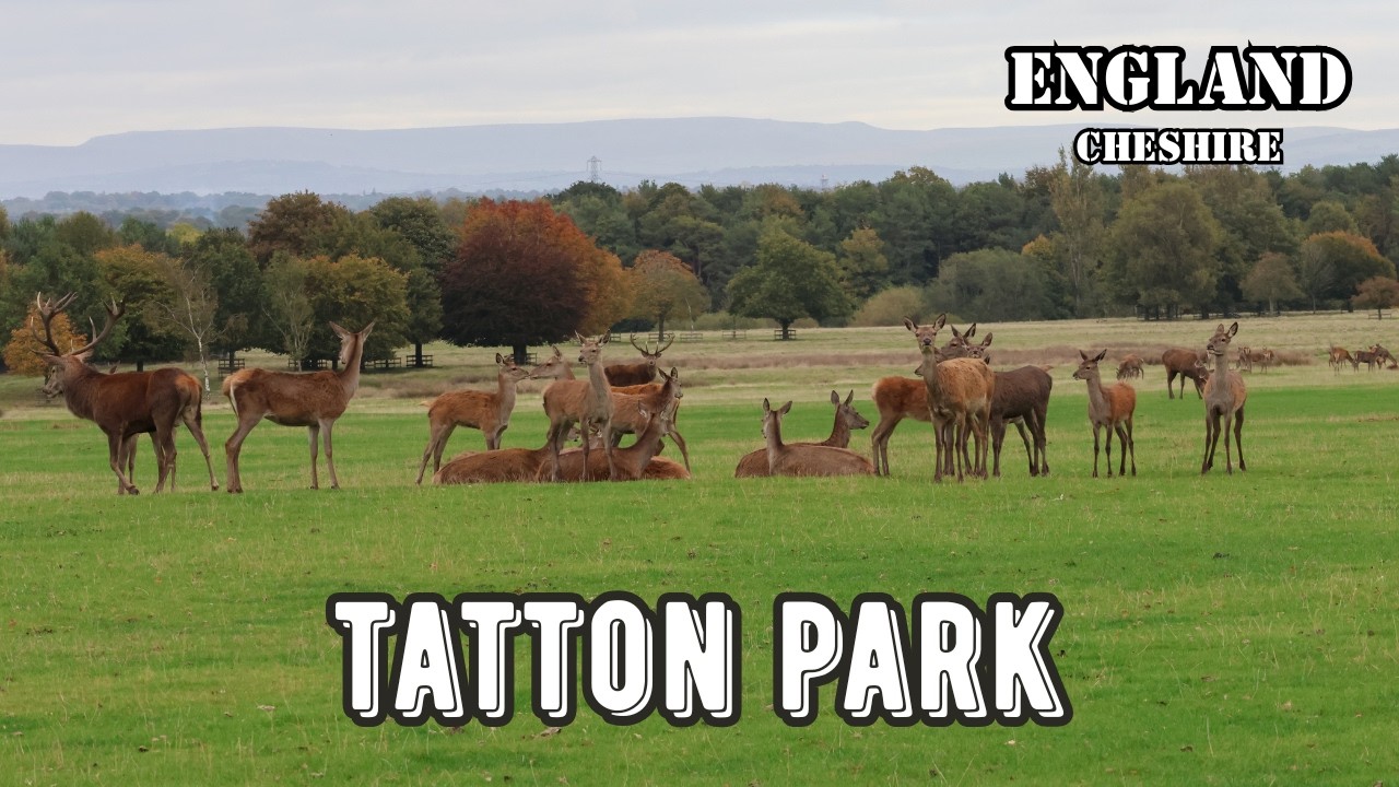 What to See at Tatton Park | Mansion, Gardens & Deer Park Tour 
