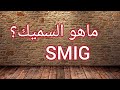 ما هو السميك SMIG اشنو هو السميك 