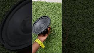 Intone 8 Inch 40 Watt 8 Ohms