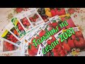 Томаты для сезона 2021/ Мега обзор томатов