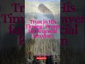 Trust in His Timing  Prayer for Financial Freedom #GodsTiming #FaithAndProvision