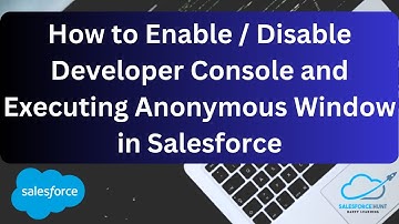 Developer Tools: Enabling and Disabling the Developer Console and Execute Anonymous Window