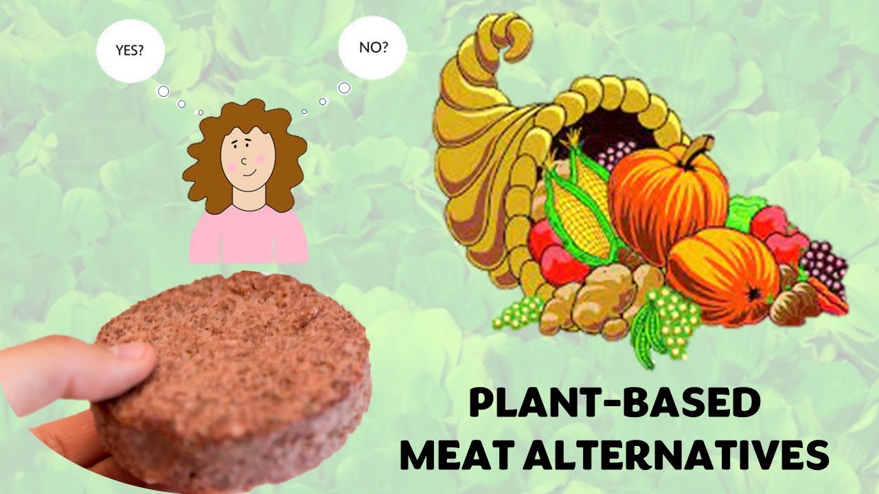 Plant Based Meat Alternatives is mimicking the taste & texture of
