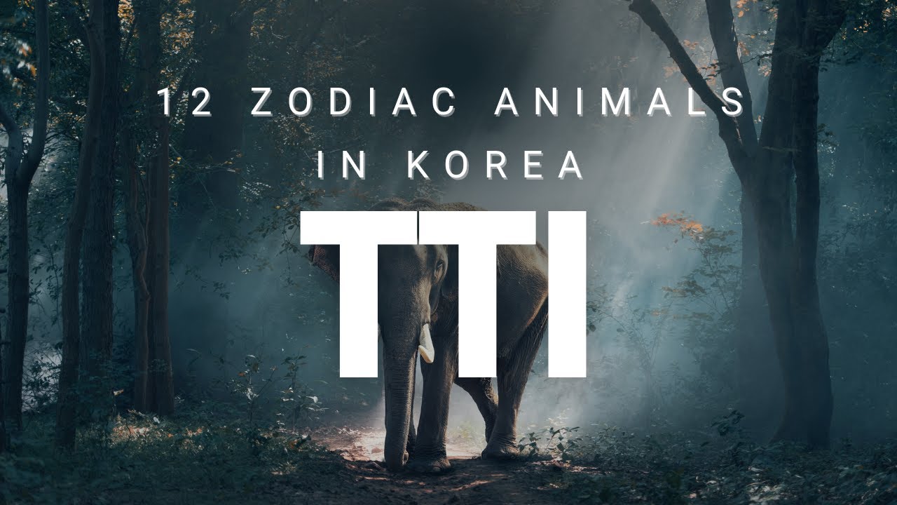 What’s Your Korean Zodiac Sign? Let’s Explore the 12 띠 (Tti)