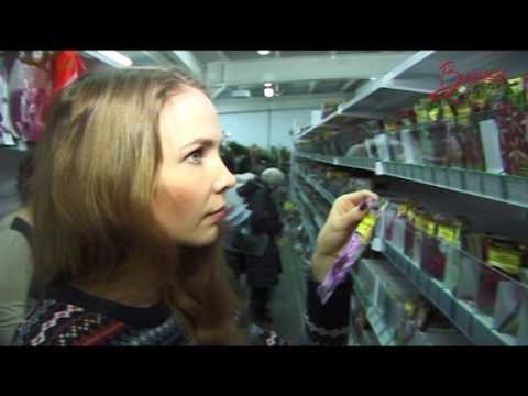 Выпуск передачи в Гостях у Дачи от 04.02.2017г.