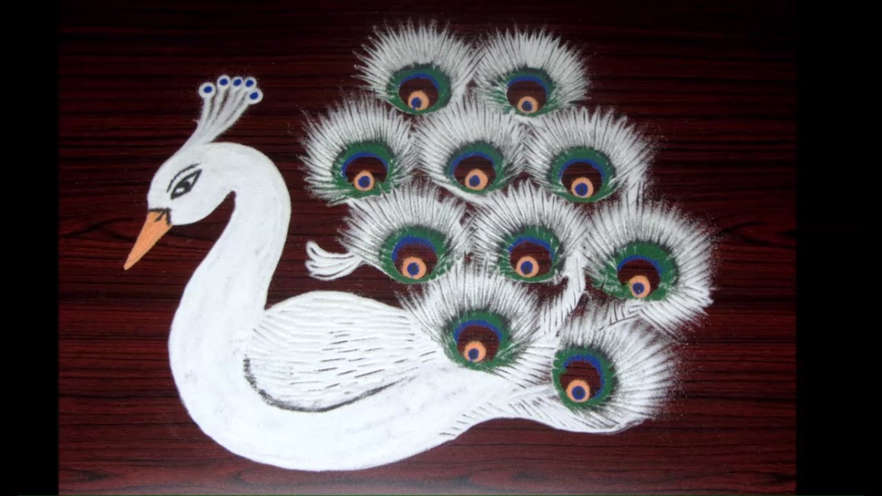 creative rangoli designs using filters || white peacock kolam ...