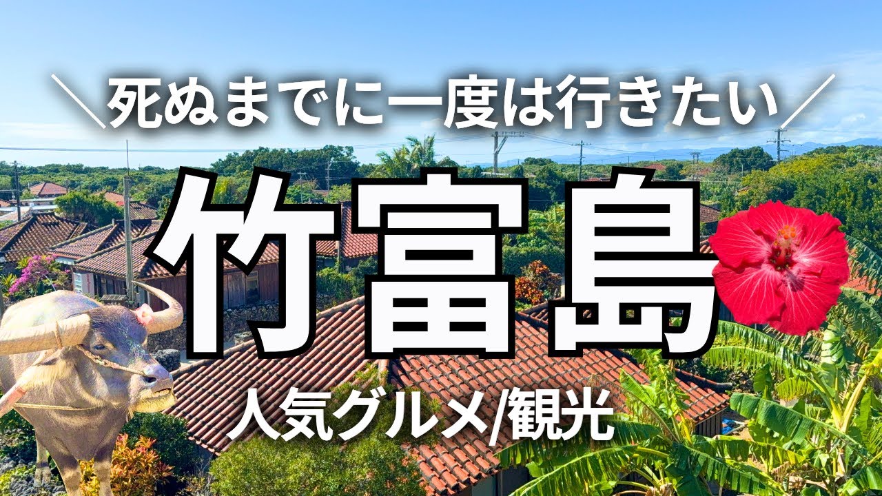 [Остров Такетоми] Январская зимняя однодневная поездка на остров Такетоми! Знакомство со стандарт...