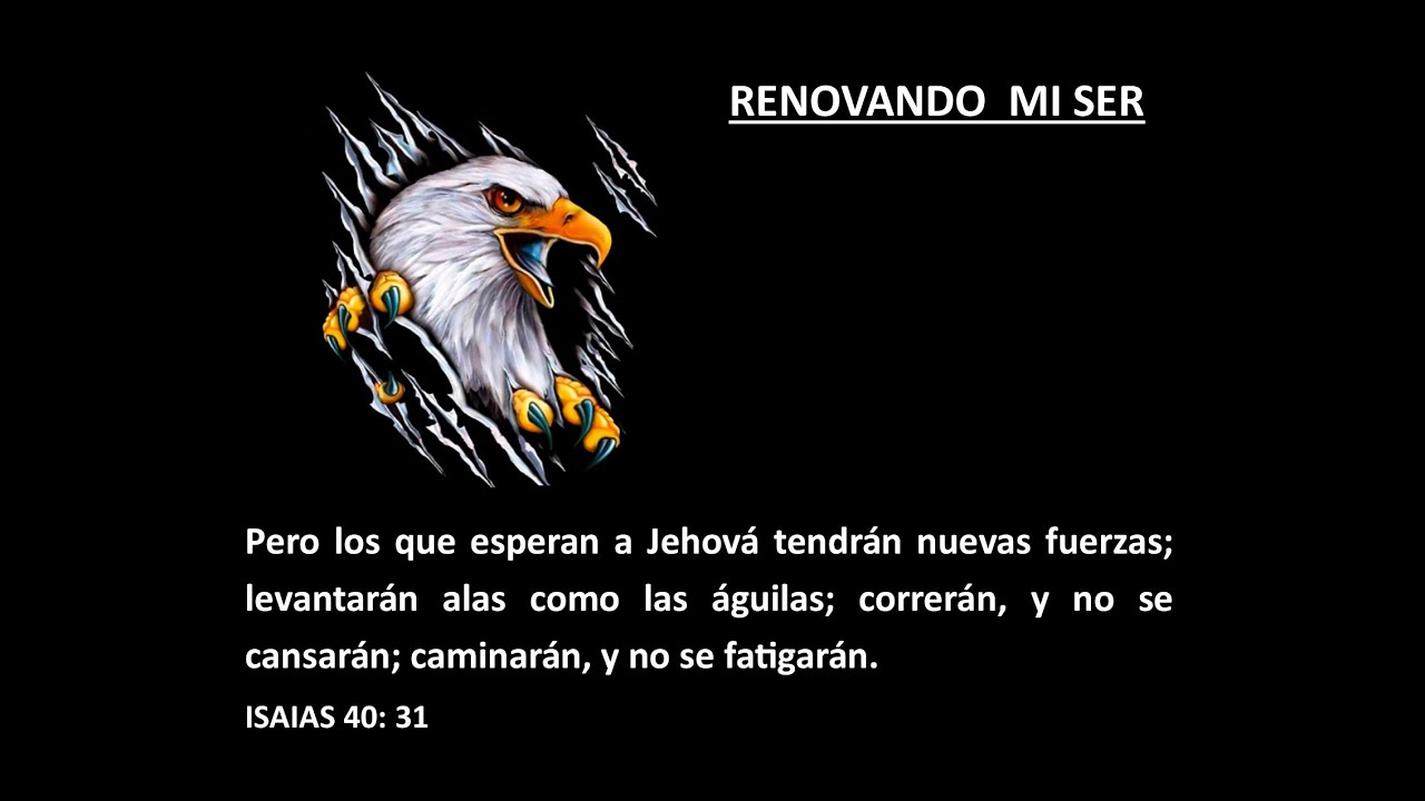 Renovando mi Ser